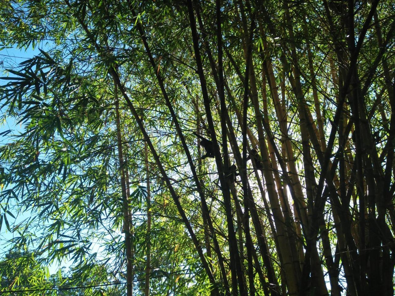 ホテル ホワイト ハウス ウナワトゥナ エクステリア 写真
