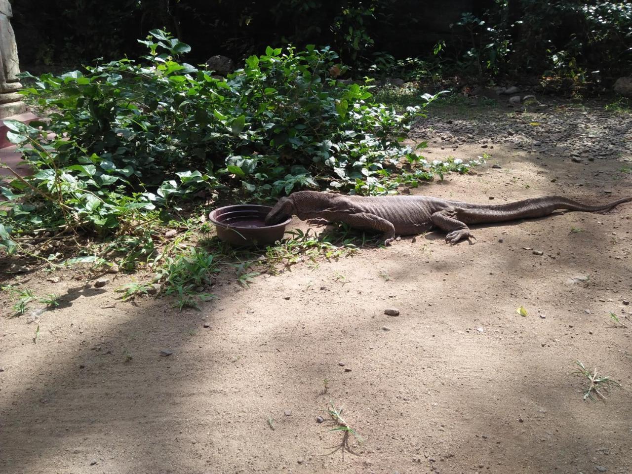 ホテル ホワイト ハウス ウナワトゥナ エクステリア 写真